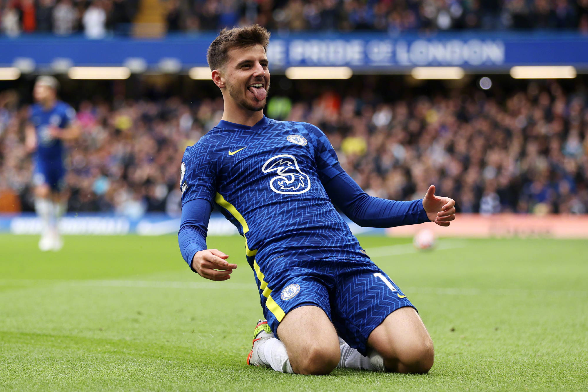 已按照国家 已按照国家